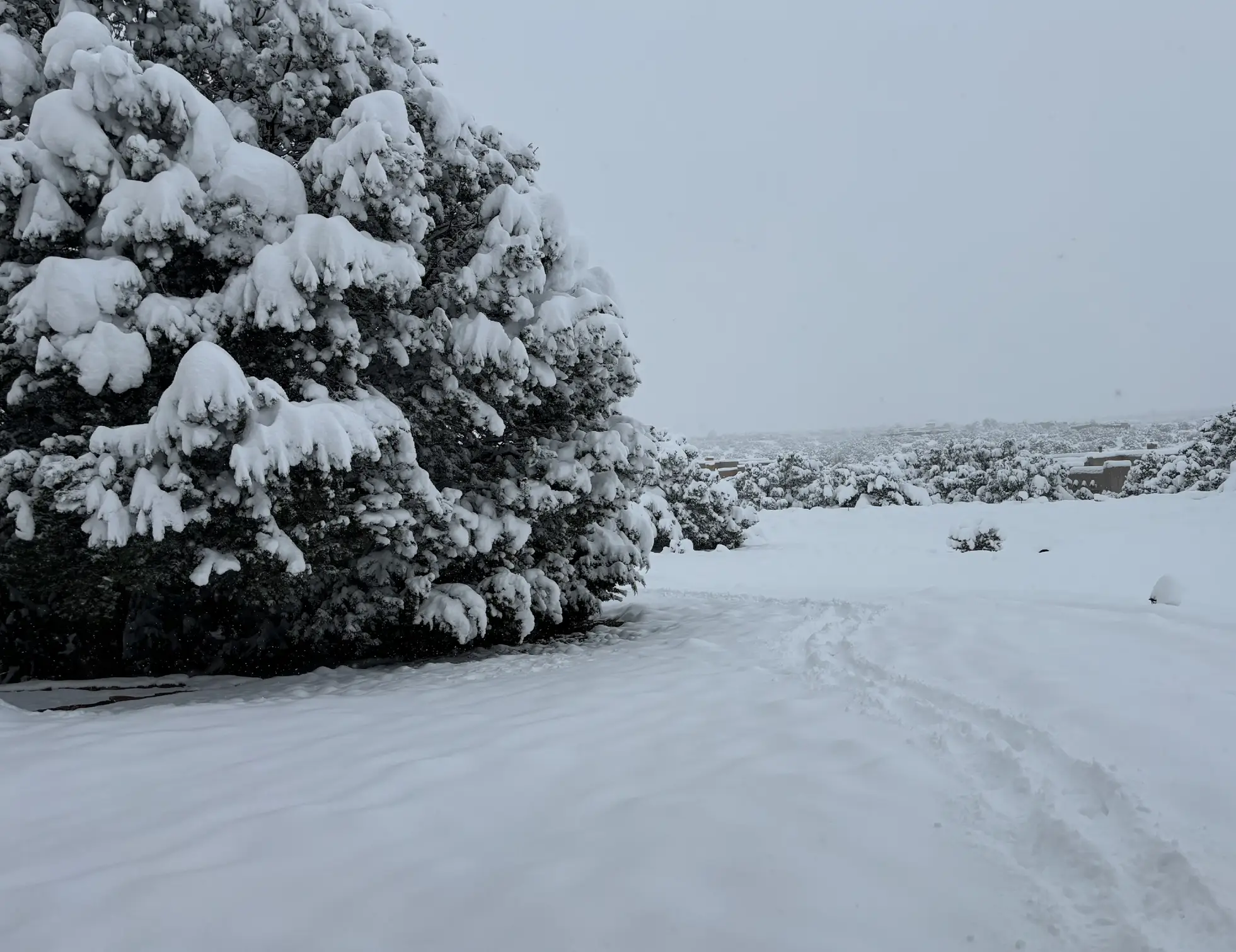 Winter Landscape