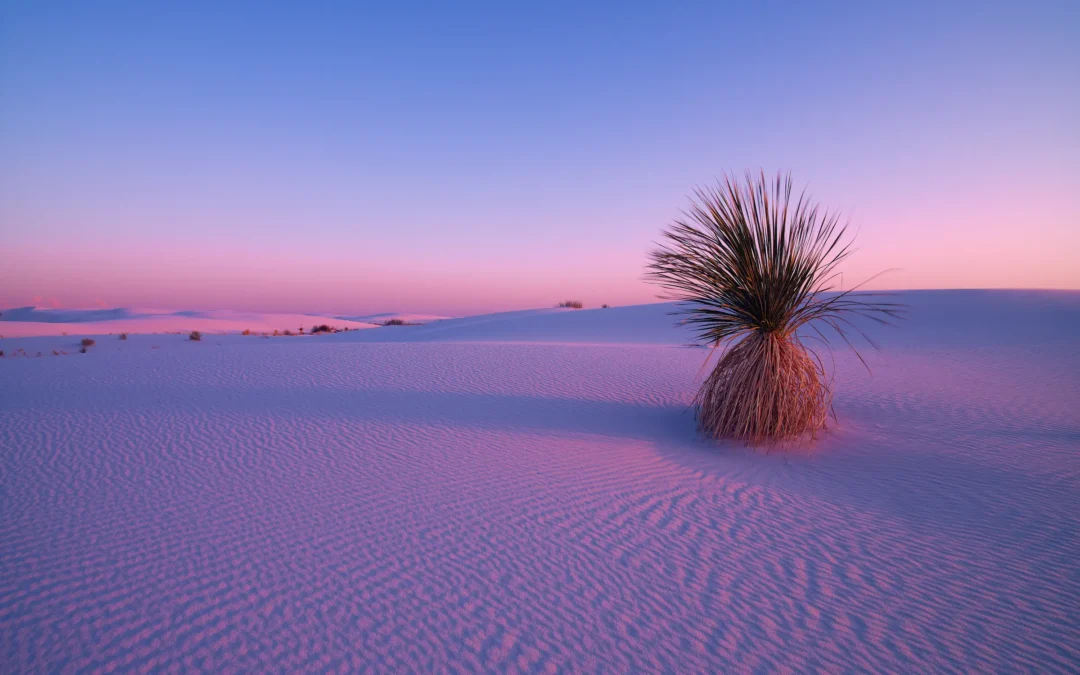 New Mexico Spirit
