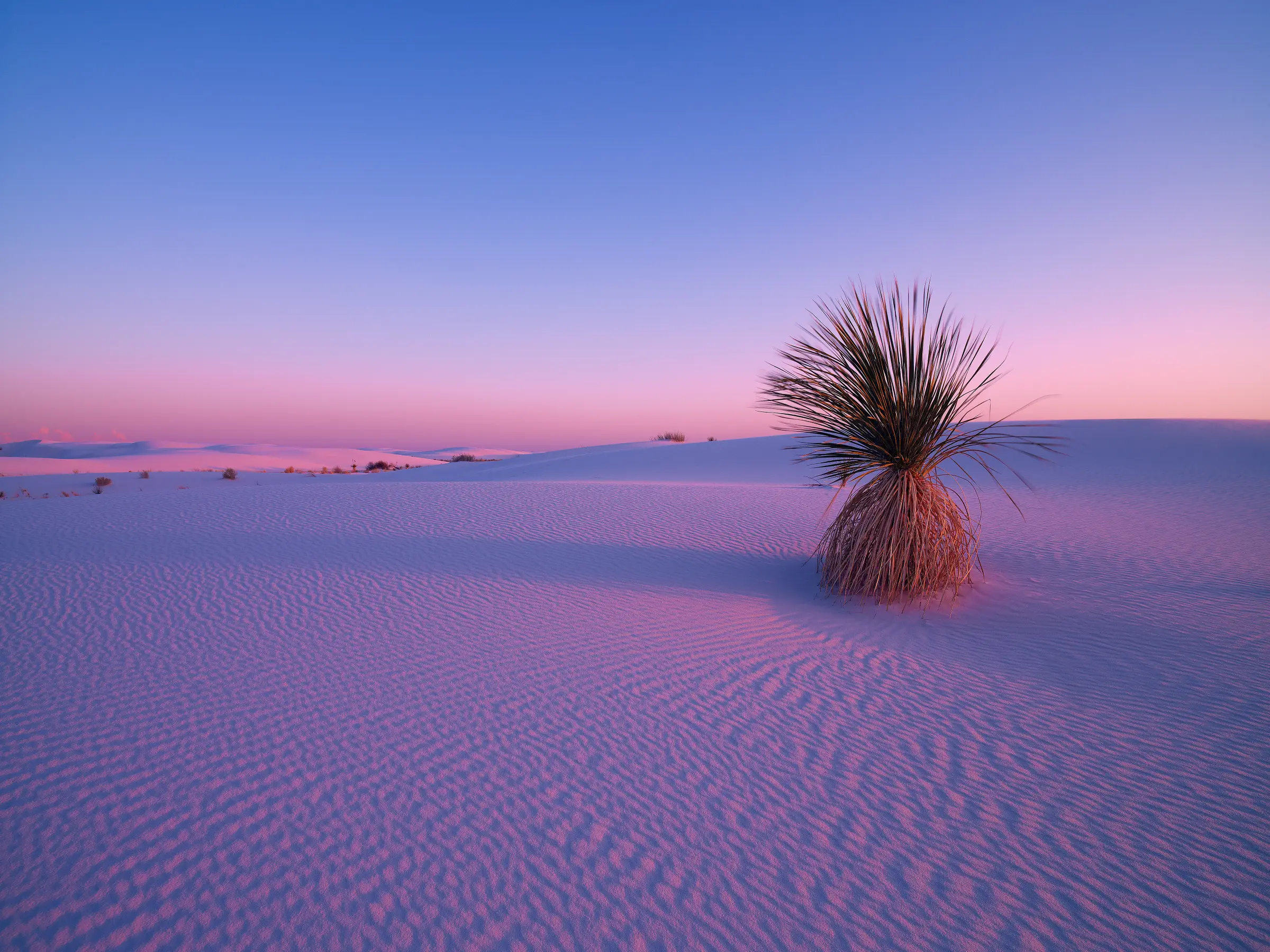 New Mexico Landscape