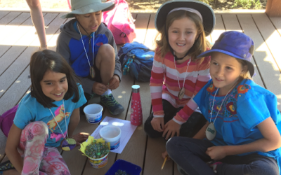 Reimagined STEM Possibilities