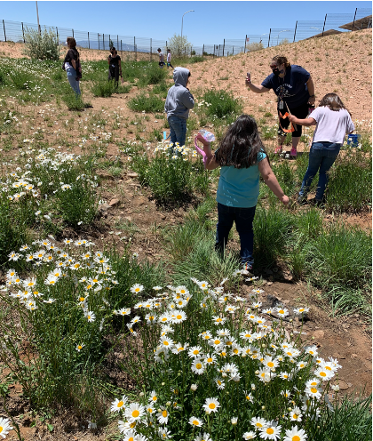 nature walk looking for insects