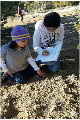 soil examination during a nature walk